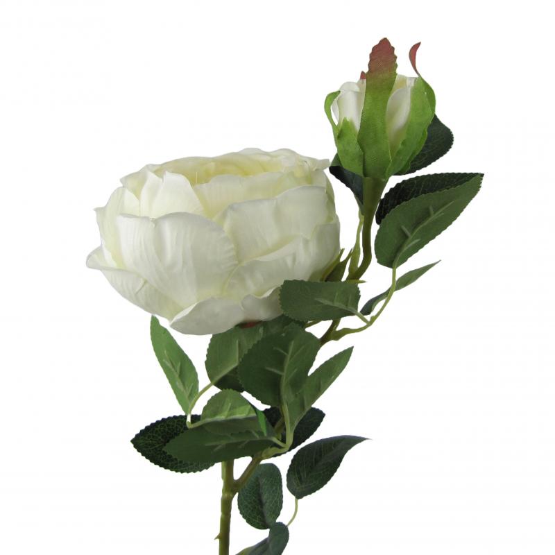 Róża 70cm biała <br>(12 sztuk)